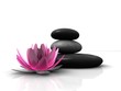 Wellness - Steine und Lotusblüte Wellness - Steine und Lotusblüte
