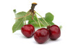 Image : Cerises