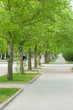 A long alley in the park