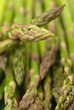Asparagus
