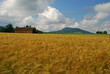 Basel Land fields Basel Land fields