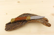 Coltello