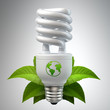 3d render of a white energy saving light bulb 3d render of a white energy saving light bulb