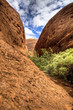 australian outback