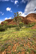 australian outback