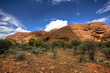 australian outback