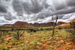 australian outback