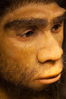 Caveman