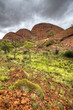 australian outback