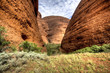 australian outback