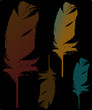 Feather Set