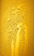 Bierfond mit Tropfen 31
