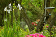 Photo: blumen,Strächer und Bäme in einem Garten blumen,Strächer und Bäme in einem Garten