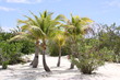 Traumstrand auf den Bahamas Traumstrand auf den Bahamas