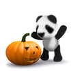 3d Pumpkin scares Teddy