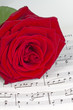 Notenblatt mit roter Rose
