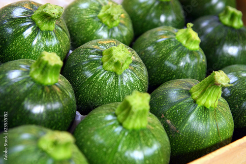 Photo : Courgettes rondes Courgettes rondes