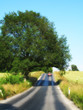 Country road