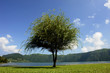 Photo: azores azores
