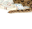 Money snake - danger and wealth
