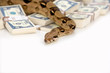 Money snake - danger and wealth