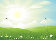 Summer sunrise