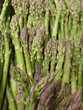 asperges vertes
