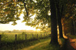 sunrise in beautiful alley sunrise in beautiful alley