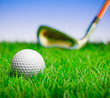 3D render of a golf ball in grass field