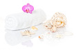Muscheldekoration mit Orchidee und Handtuch