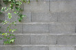 Mur fleuri