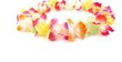 Hawaiian lei