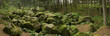 Kaser Steinstube, Panorama-2