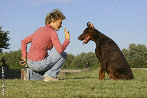 Photo: Attention for dog Attention for dog
