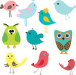 Set of different cute birds.