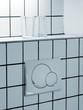 Photo: Dual flush toilet button Dual flush toilet button