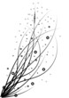 grass