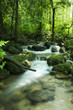 Moutain stream Moutain stream