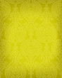 Highly detailed seamless background with paisley floral