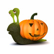 3d Pumpkin shelled snail