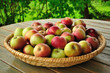 Apples