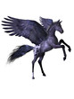 flying Ponie