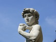 David Michelangelo