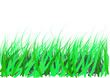 green grass