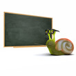 3d Snail uses the blackboard