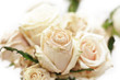 old dried white roses