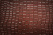 crocodile skin pattern