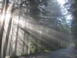 lichtblick