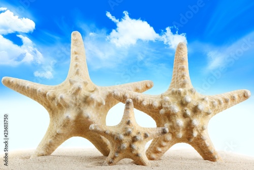 Photo: Holiday beach concept Holiday beach concept