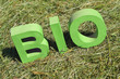 grüner BIO Schriftzug in gemähter Wiese